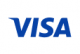 t-visa